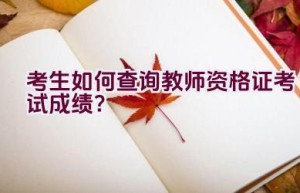 考生如何查询教师资格证考试成绩？