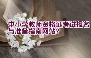 中小学教师资格证考试报名与准备指南网站？