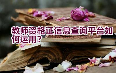 教师资格证信息查询平台如何运用？插图