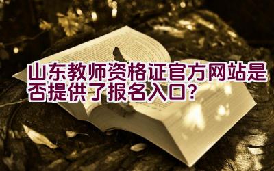 山东教师资格证官方网站是否提供了报名入口？插图