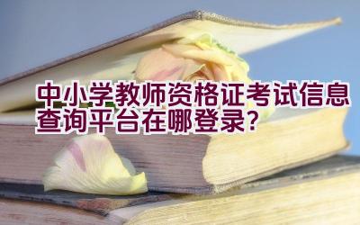 中小学教师资格证考试信息查询平台在哪登录？插图