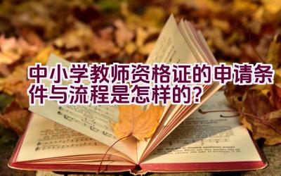 中小学教师资格证的申请条件与流程是怎样的？插图