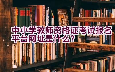 中小学教师资格证考试报名平台网址是什么？插图