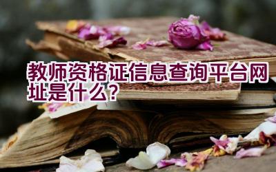 教师资格证信息查询平台网址是什么？插图