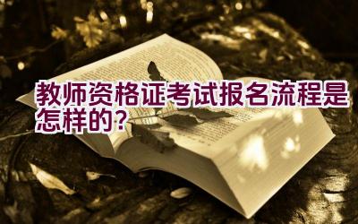 教师资格证考试报名流程是怎样的？插图