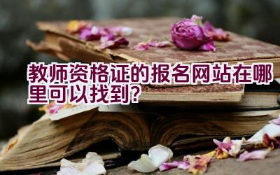 教师资格证的报名网站在哪里可以找到？插图