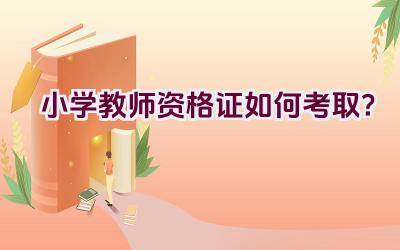 小学教师资格证如何考取？插图