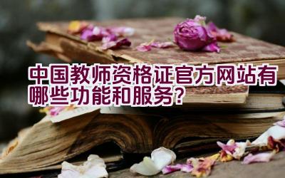 中国教师资格证官方网站有哪些功能和服务？插图