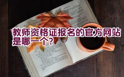 教师资格证报名的官方网站是哪一个？插图