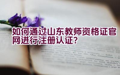 如何通过山东教师资格证官网进行注册认证？插图