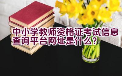 中小学教师资格证考试信息查询平台网址是什么？插图