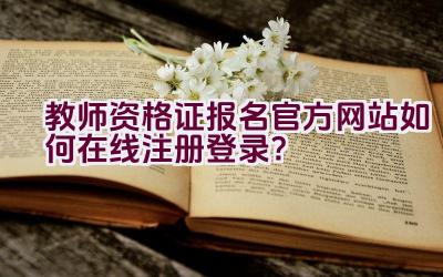 教师资格证报名官方网站如何在线注册登录？插图