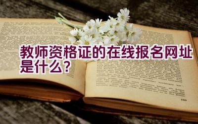 教师资格证的在线报名网址是什么？插图