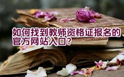 如何找到教师资格证报名的官方网站入口？插图